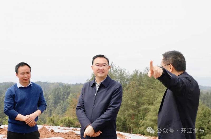 庞佑成调研村（社区）换届筹备 乡镇（街道）履职事项清单和“四心”作风问题教育整顿工作